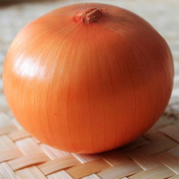 src=http___img.alicdn.com_bao_uploaded_i3_1019981971_O1CN011QQl78lfvKQ5Hsv_!!1019981971.jpg&refer=http___img.alicdn